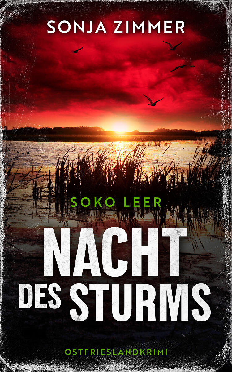 Nacht des Sturms Cover