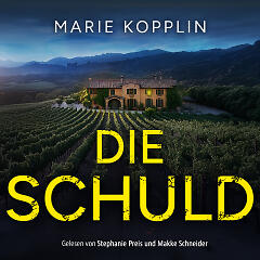 Die Schuld Audiobook-Cover mit spanischem Haus vor dramatischem Himmel