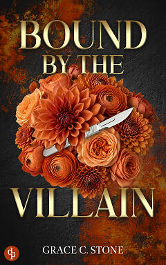 Bound by the Villain Cover