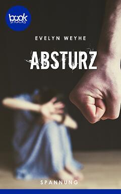 Absturz Cover