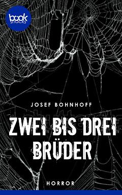 9783968173627 Zwei bis drei Brüder (Cover)