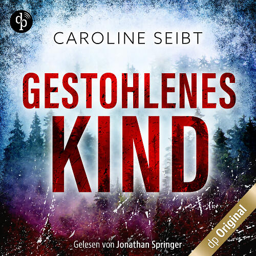 Gestohlenes Kind (HB Cover)