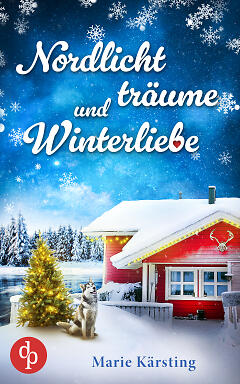 Nordlichtträume und Winterliebe (Cover)