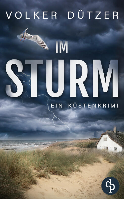 Im Sturm (Cover)