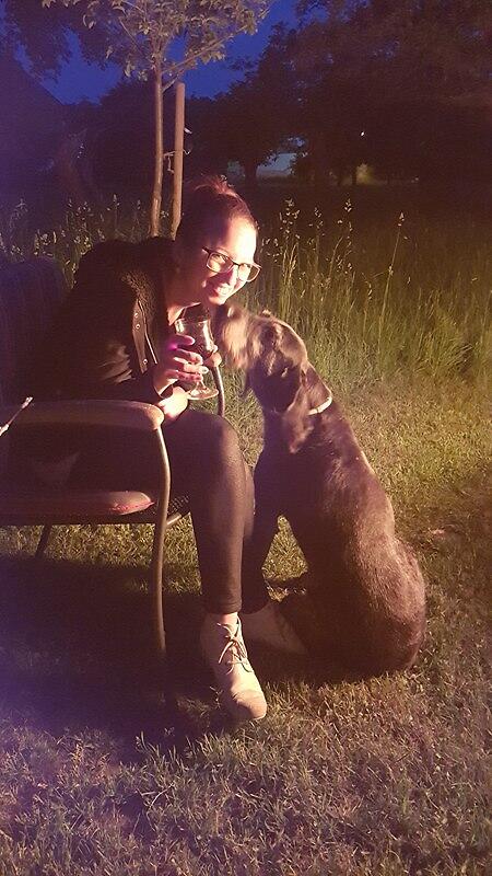 Jo Jonson Interview Foto hund