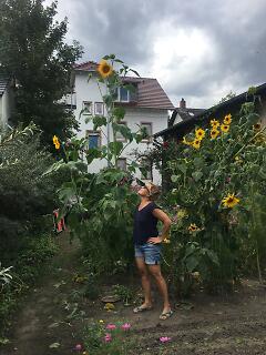 Ilona Einwohlt Bild Garten
