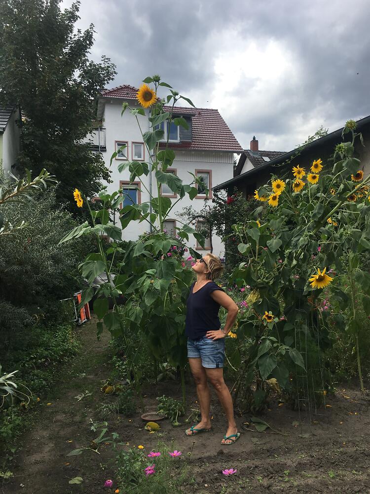 Ilona Einwohlt Bild Garten