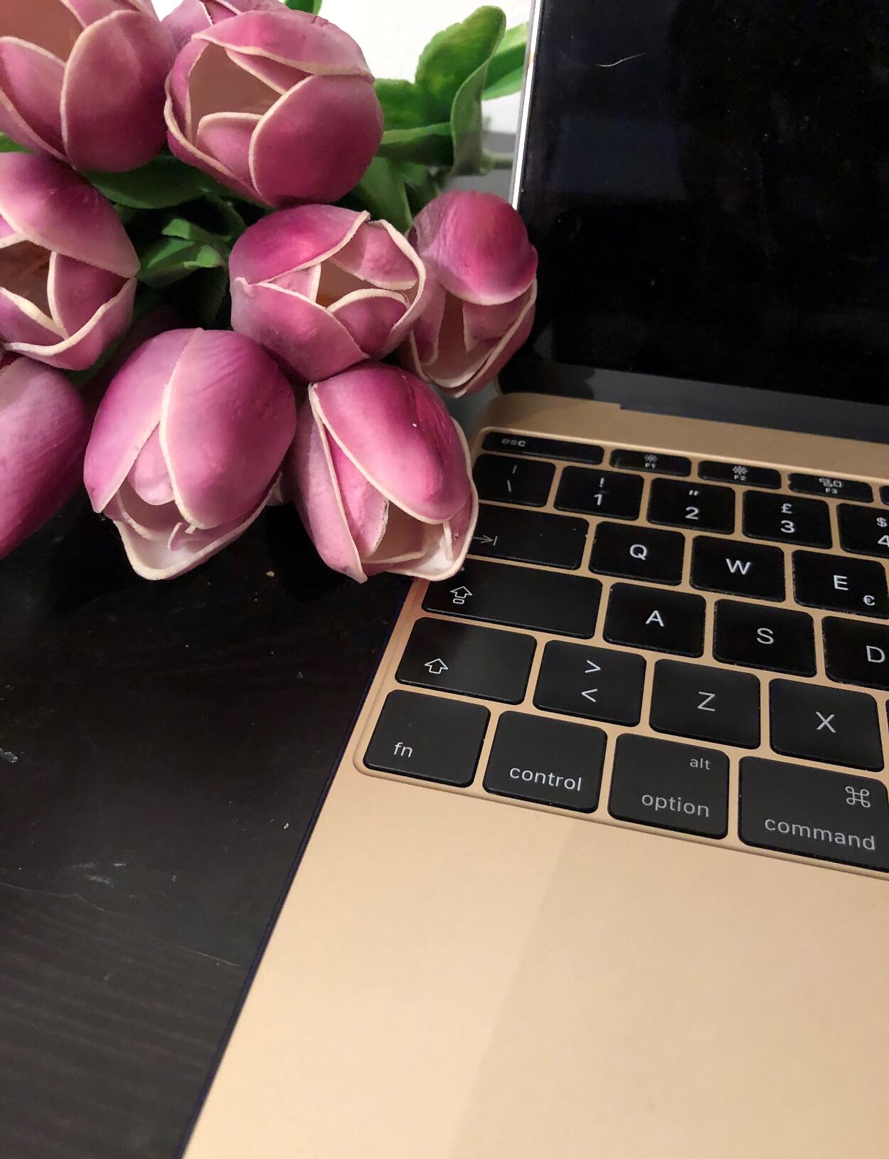 Alexandra Fuchs Interview Bild Laptop und Blumen