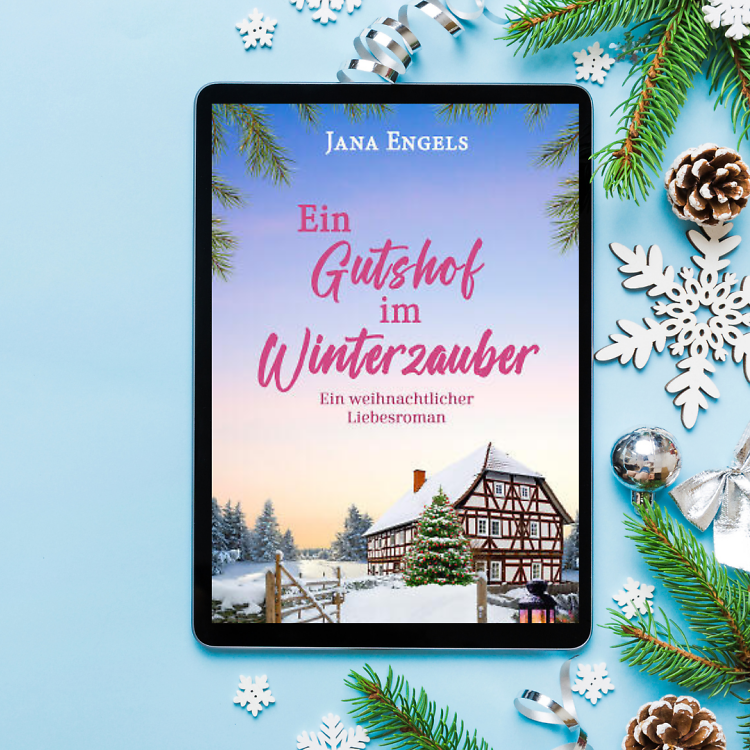 Ein Gutshof im Winterzauber Interviewgrafik