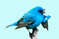 Twitter für Autoren – so nutzt du das Network am besten