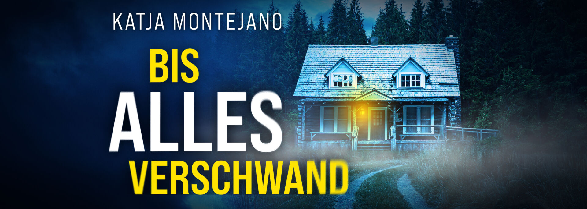 Bis alles verschwand | Ein düsterer Psychothriller